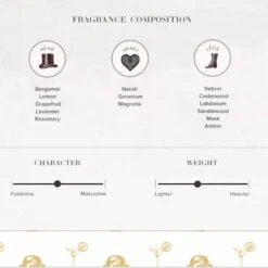 Debonaire Eau De Toilette 100ML 11 Debonaire Eau De Toilette 100ML -Home And Daily Necessities Store Deboniare notes 600x600 1