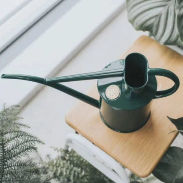 The Fazeley Flow – Two Pint Green 5 The Fazeley Flow – Two Pint Green - Image 3