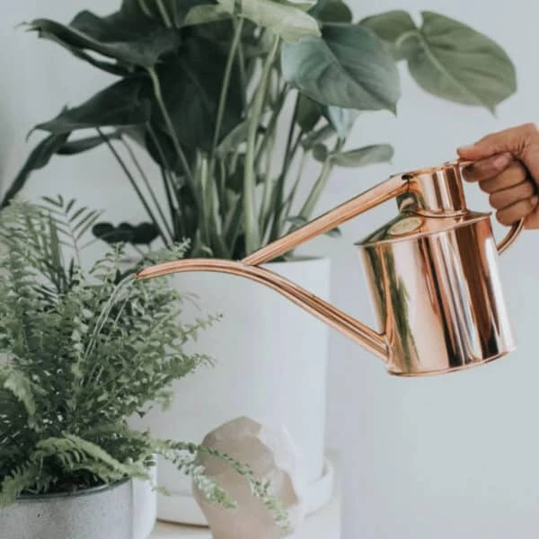 The Fazeley Flow – Two Pint Copper 5 The Fazeley Flow – Two Pint Copper - Image 3