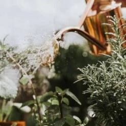 Rowley Ripple Copper Watering Can -Home And Daily Necessities Store HAWS Rowley Ripple two pint copper spray 800x800 1 600x600 1