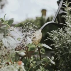 Rowley Ripple Graphite Watering Can 12 Rowley Ripple Graphite Watering Can -Home And Daily Necessities Store HAWS Rowley Ripple two pint graphite spray lifestyle 800x800 1 600x600 1