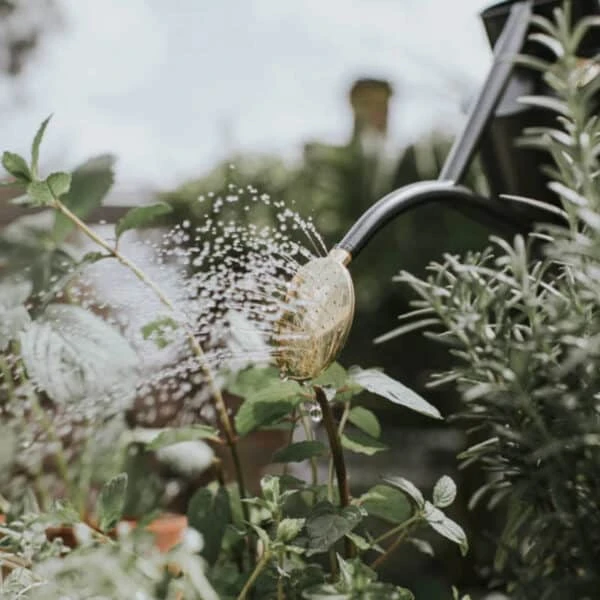 Rowley Ripple Graphite Watering Can 7 Rowley Ripple Graphite Watering Can - Image 5