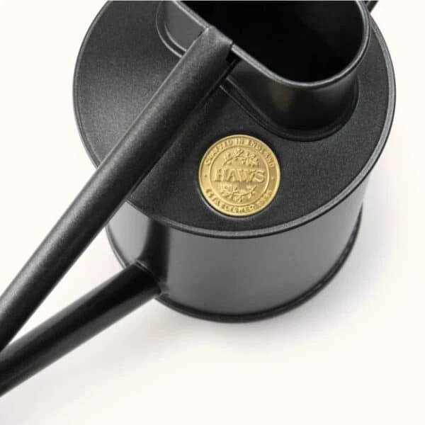 Rowley Ripple Graphite Watering Can 5 Rowley Ripple Graphite Watering Can - Image 3