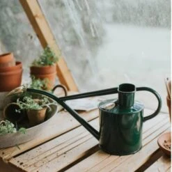 Rowley Ripple Green Watering Can 9 Rowley Ripple Green Watering Can -Home And Daily Necessities Store HAWS Rowley Ripple two pint green lifestyle 800x800 1 600x600 1