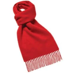 Valentine’s Day Gift Collection -Home And Daily Necessities Store Scarlet 1000x1000 small 600x600 1