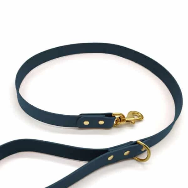 Peacock Blue Leather ‘Brigadier’ Puppy & Small Breed Dog Lead 3 Peacock Blue Leather ‘Brigadier’ Puppy & Small Breed Dog Lead