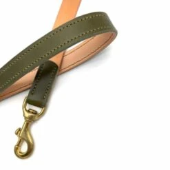 Olive Green Leather Dog Lead -Home And Daily Necessities Store art002leadolive 600x600 1