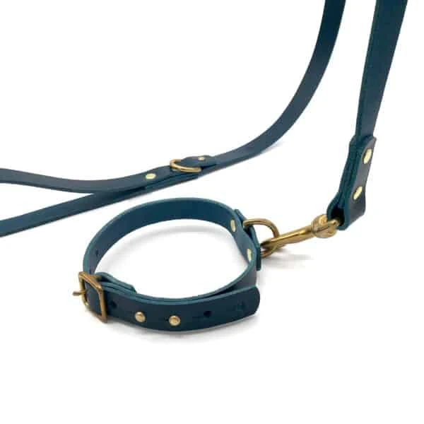 Peacock Blue Leather ‘Brigadier’ Puppy & Small Breed Dog Lead 4 Peacock Blue Leather ‘Brigadier’ Puppy & Small Breed Dog Lead - Image 2