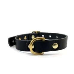 Raven Black Leather ‘Brigadier’ Puppy & Small Breed Dog Collar