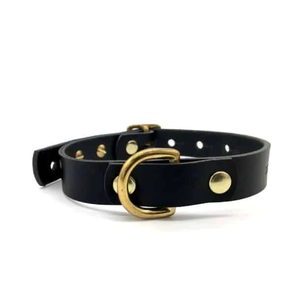 Raven Black Leather ‘Brigadier’ Puppy & Small Breed Dog Collar 3 Raven Black Leather ‘Brigadier’ Puppy & Small Breed Dog Collar