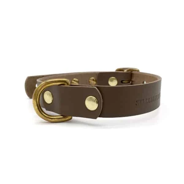 Brown Leather ‘Brigadier’ Puppy & Small Breed Dog Collar 3 Brown Leather ‘Brigadier’ Puppy & Small Breed Dog Collar