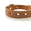 Natural Tan Leather ‘Brigadier’ Puppy & Small Breed Dog Collar 1 Natural Tan Leather ‘Brigadier’ Puppy & Small Breed Dog Collar -Home And Daily Necessities Store brigpupnat 600x600 1
