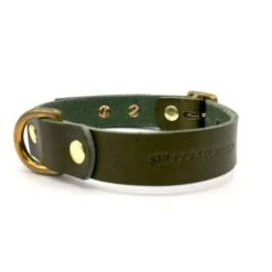 Olive Green Leather ‘Brigadier’ Puppy & Small Breed Dog Collar