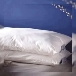 Original Wool Pillow -Home And Daily Necessities Store devon duvets original wool pillow 600x600 2