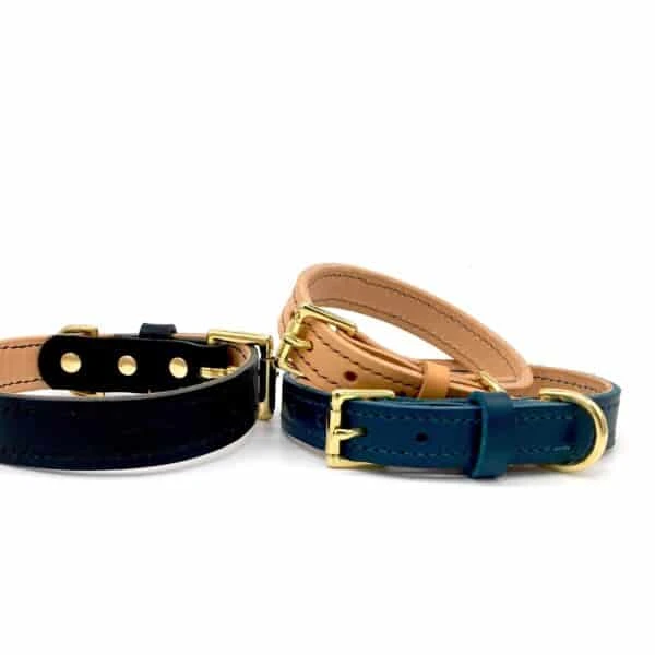 Peacock Blue Leather Dog Collar 4 Peacock Blue Leather Dog Collar - Image 2