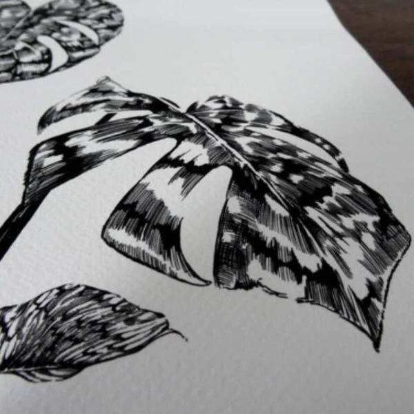 Monstera Botanical Limited Edition Print 4 Monstera Botanical Limited Edition Print - Image 2