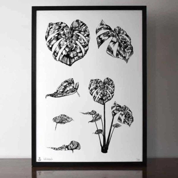 Monstera Botanical Limited Edition Print 3 Monstera Botanical Limited Edition Print
